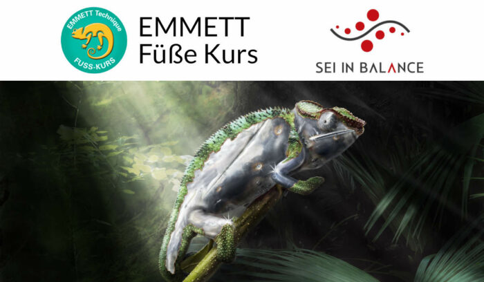 EMMETT Spezialkurs Füße
